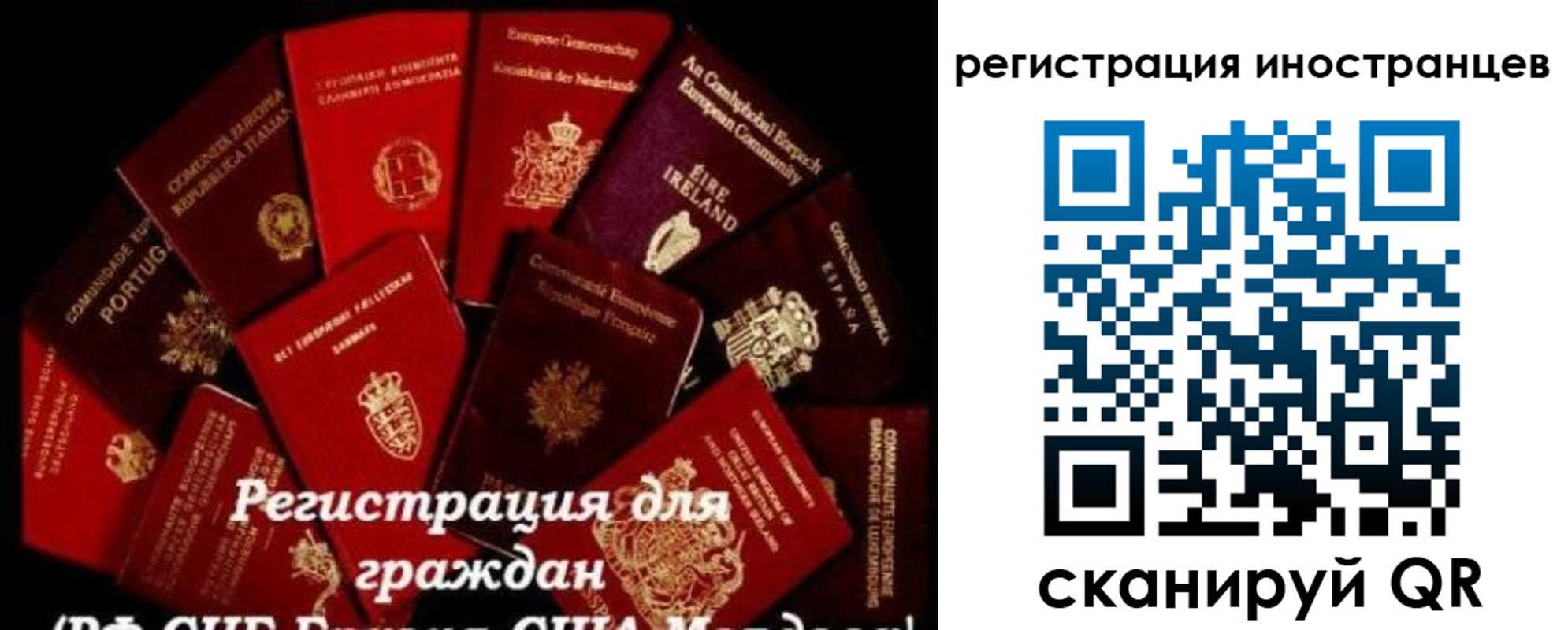 прописка иностранных граждан в Ковдоре